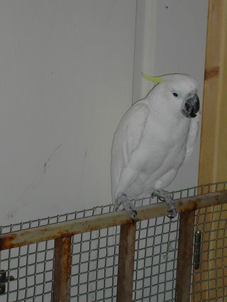 PICT1393.jpg