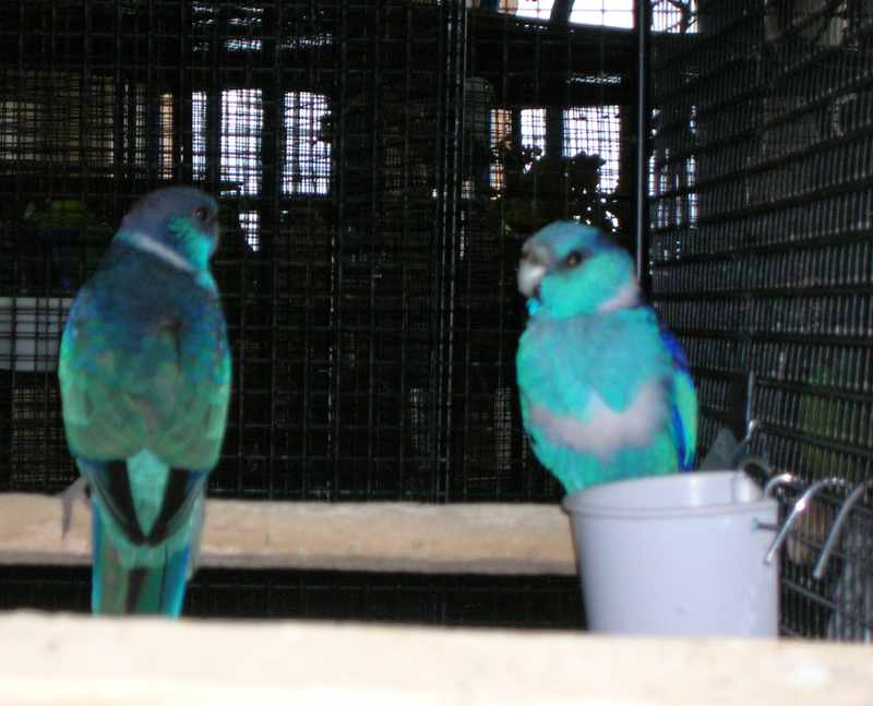 DSCN3835.jpg