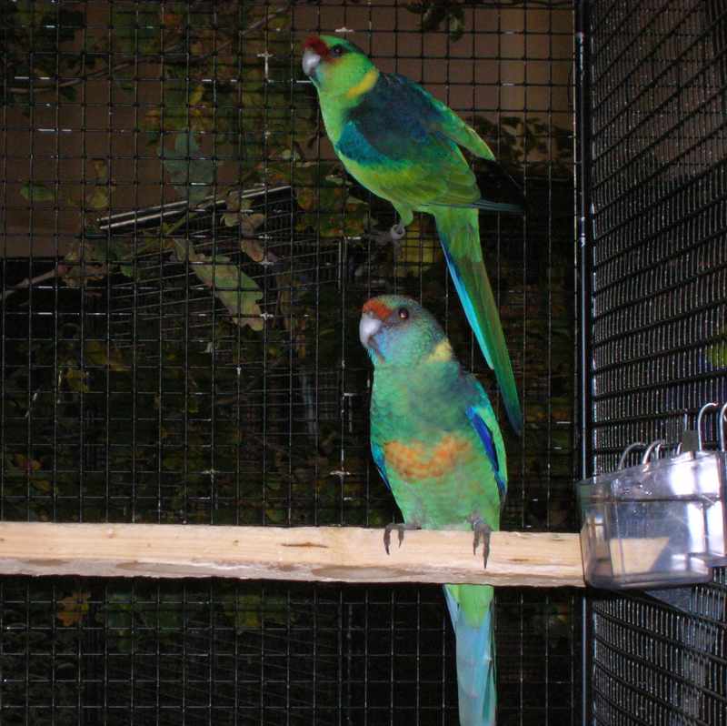 DSCN3838.jpg