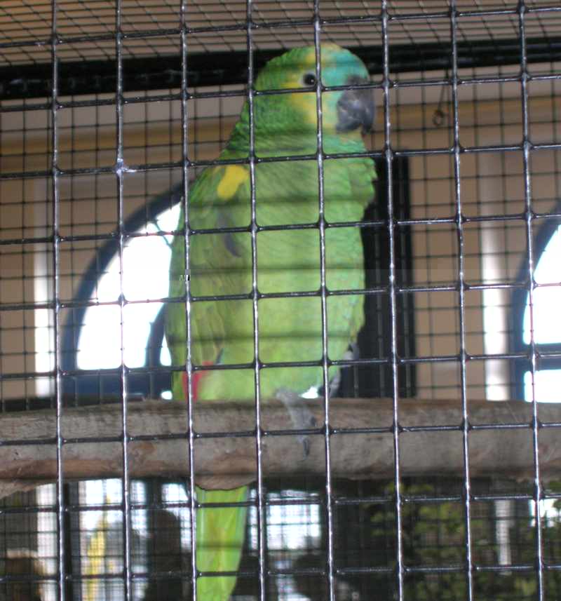 DSCN3853.jpg