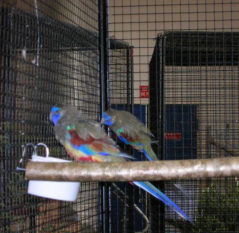 DSCN3862.jpg