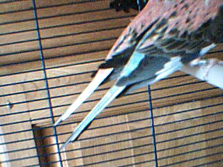 Picture 5.jpg