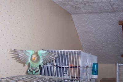 000_0031.JPG