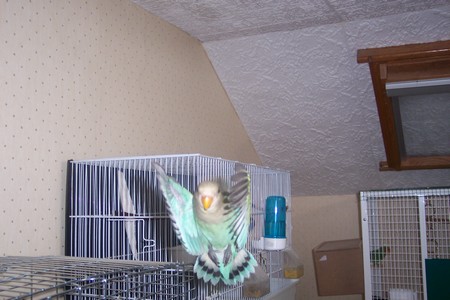 000_0027.JPG