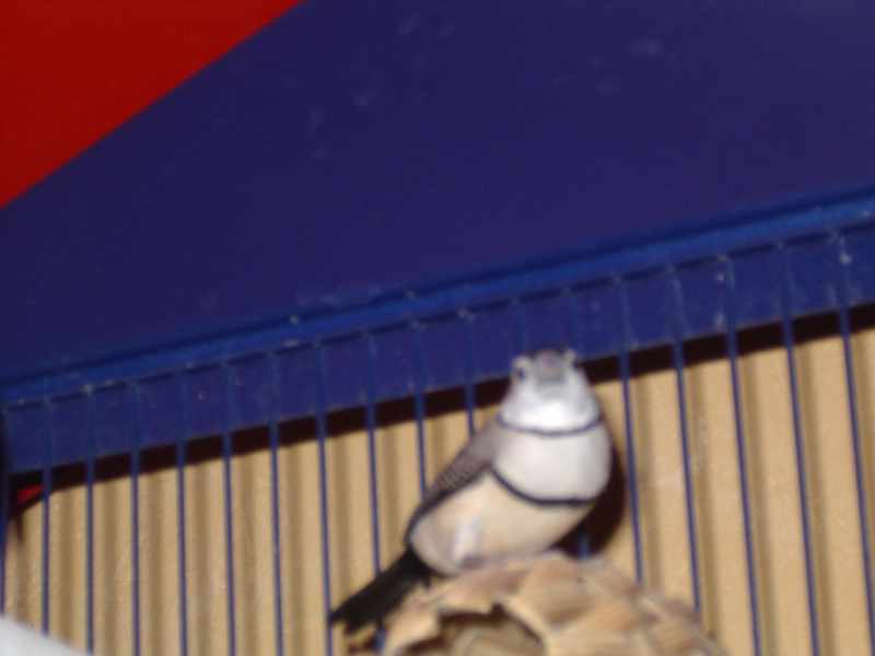 IMGP0131.jpg