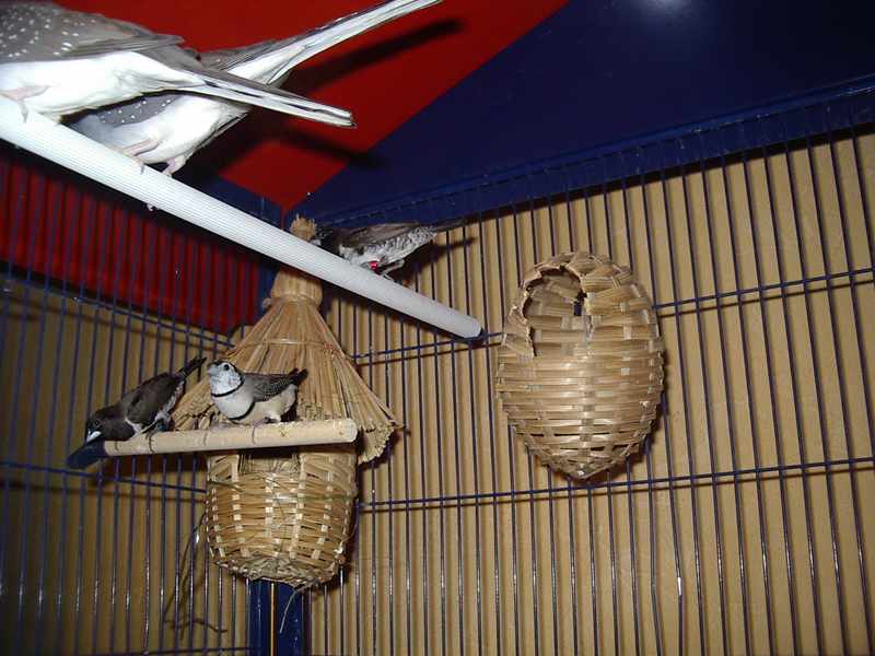 IMGP0130.jpg