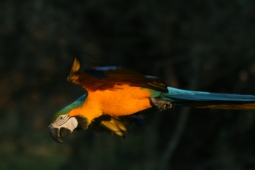 IMG_9265.jpg