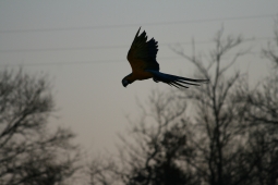 IMG_9261.jpg