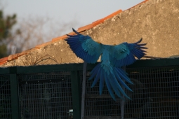 IMG_9240.jpg