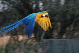 IMG_9243.jpg