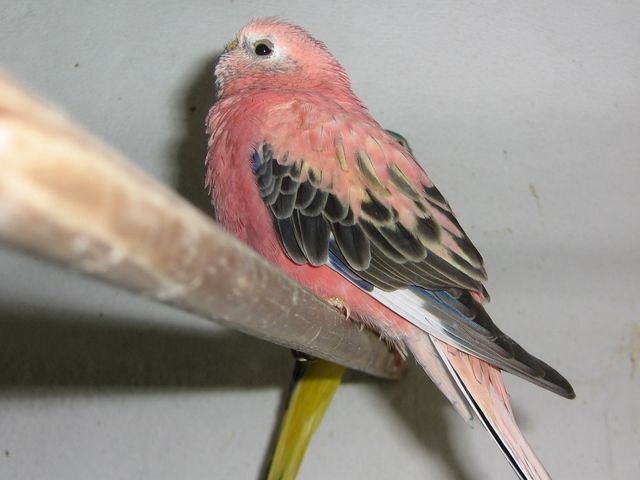 IMG 1.jpg