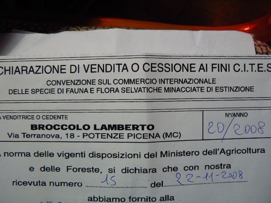 P1050533.jpg