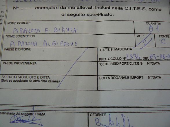 P1050534.jpg