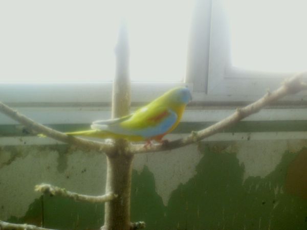 PHOT0011.JPG