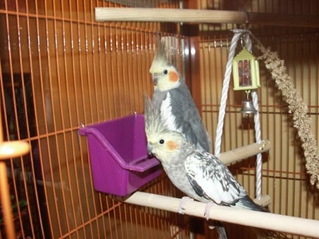 PICT0010.JPG