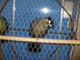 14032009 042.jpg