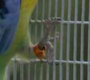 DSC00312.JPG