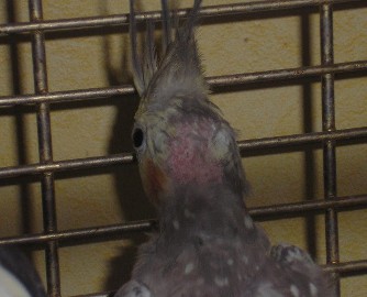 P4120185.JPG