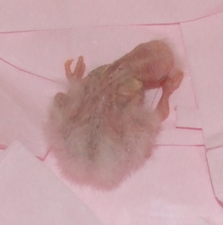 DSCF3808.JPG