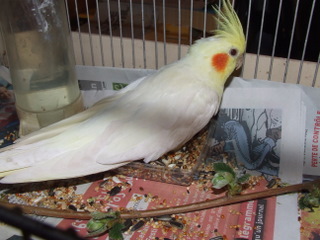 DSCF3815.JPG