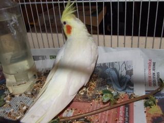 DSCF3816.JPG