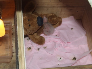 DSCF3818.JPG
