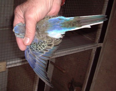 2172882099_small_1.jpg