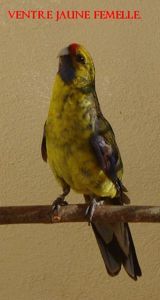 DSC01093.jpg