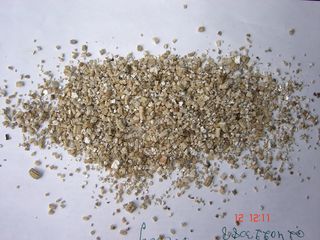 DSC01103.JPG