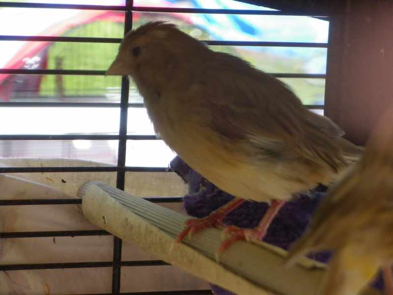 IMGP01571.jpg