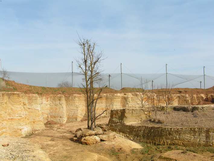 vue ext.jpg