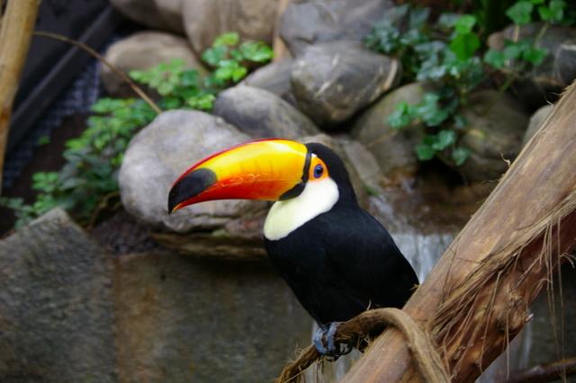 IMGP8861 (Small).JPG