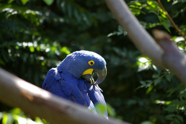 IMGP8868 (Small).JPG