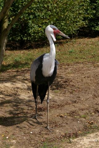 IMGP9090 (Small).JPG