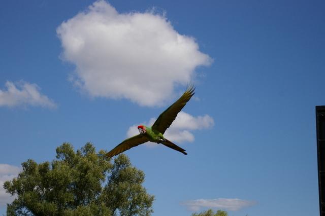 IMGP9197 (Small).JPG