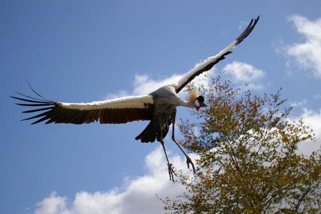 IMGP9222 (Small).JPG