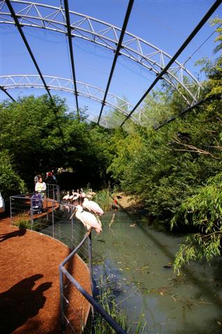 IMGP8918 (Small).JPG