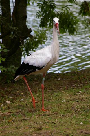 IMGP9138 (Small).JPG