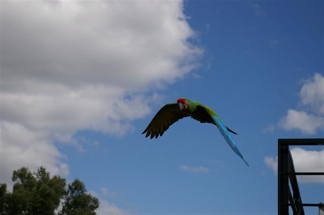 IMGP9207 (Small).JPG