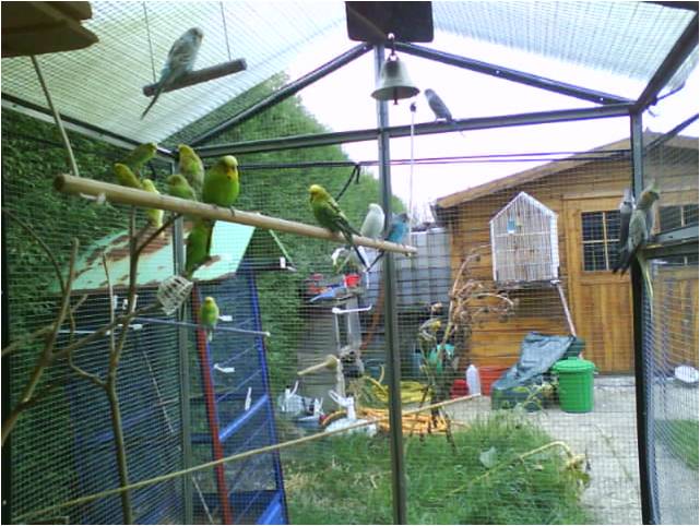 Image13.jpg