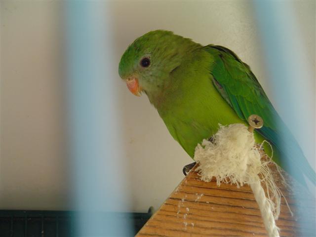 DSC04590 (Small).JPG