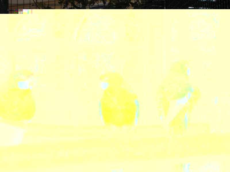 DSCN3836.jpg