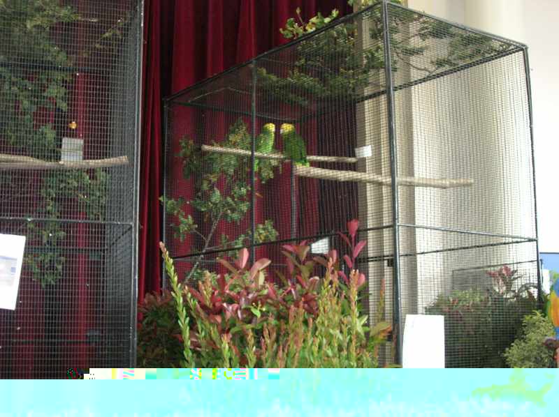 DSCN3854.jpg