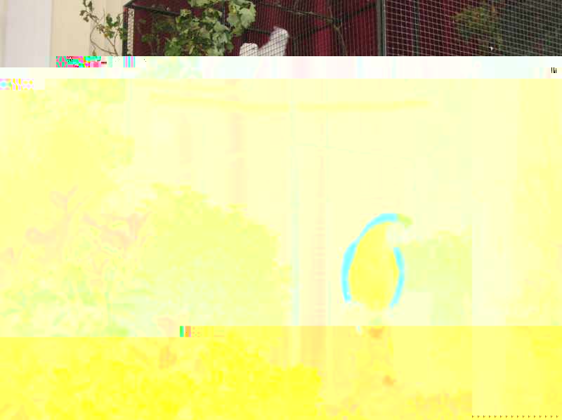 DSCN3857.jpg
