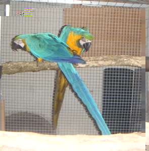 DSCF3450.JPG