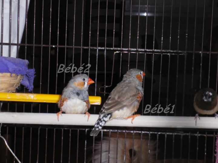 IMGP0169.1.jpg