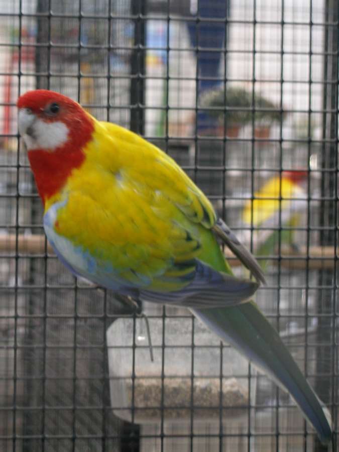 P1010154x.jpg