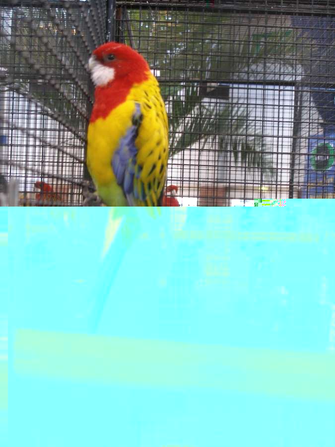 P1010178x.jpg