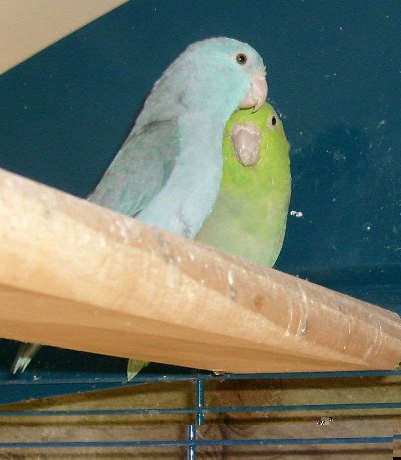 couple moin.jpg