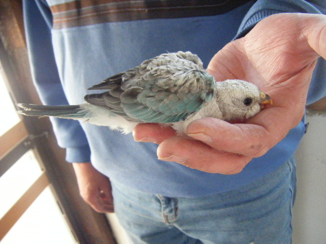 DSCF3700.JPG